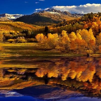 BOB彩票·(中国)平台APP下载